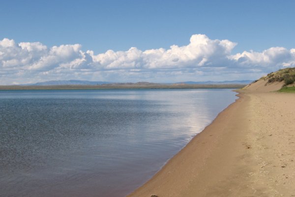 Вывести деньги с кракена