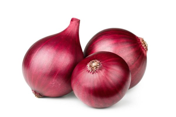 Последняя сылка hidra onion