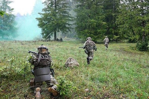 Как вывести деньги с кракена тор