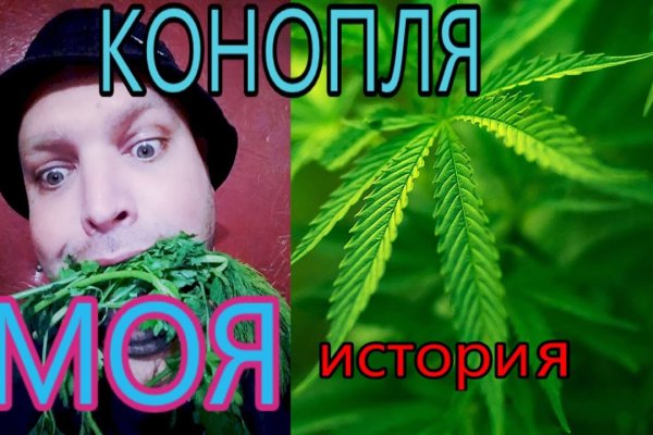 Как найти kraken