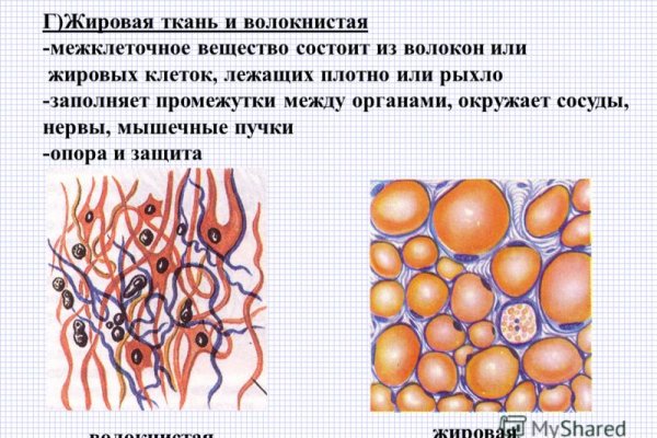 Кракен даркнет текст