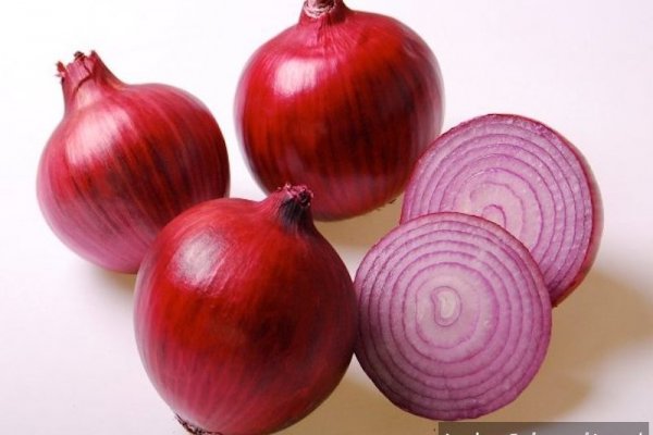 Ссылка на кракен onion kraken dark link